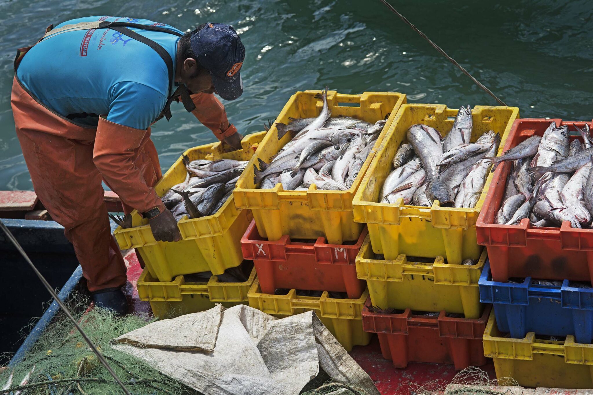 Pesca de merluza 570 embarcaciones artesanales podrán volver a pescar