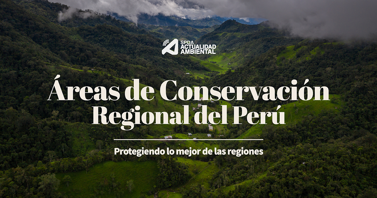 Las Áreas De Conservación Regional: Protegiendo Lo Mejor De Las Regiones.