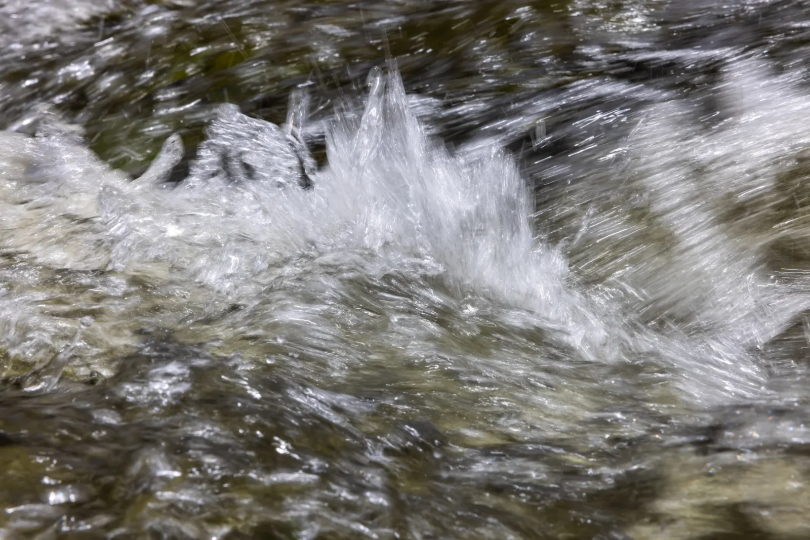 DPR_3679