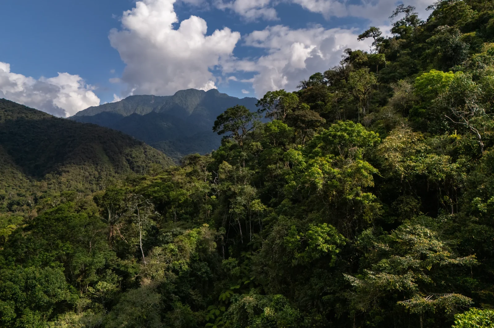 DJI_20241021151231_0198_D