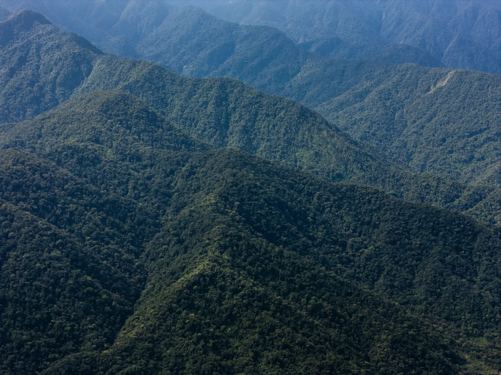 DJI_20241023084856_0332_D