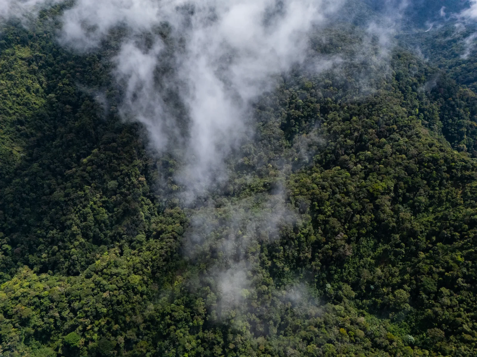 DJI_20241024093703_0392_D