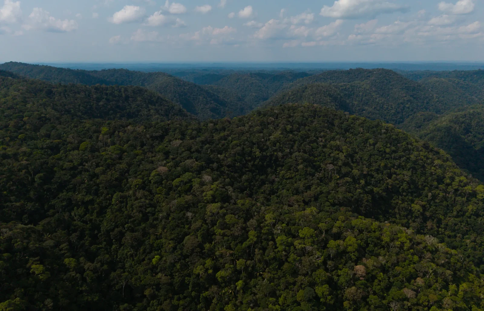 DJI_20260324144634_0100_D