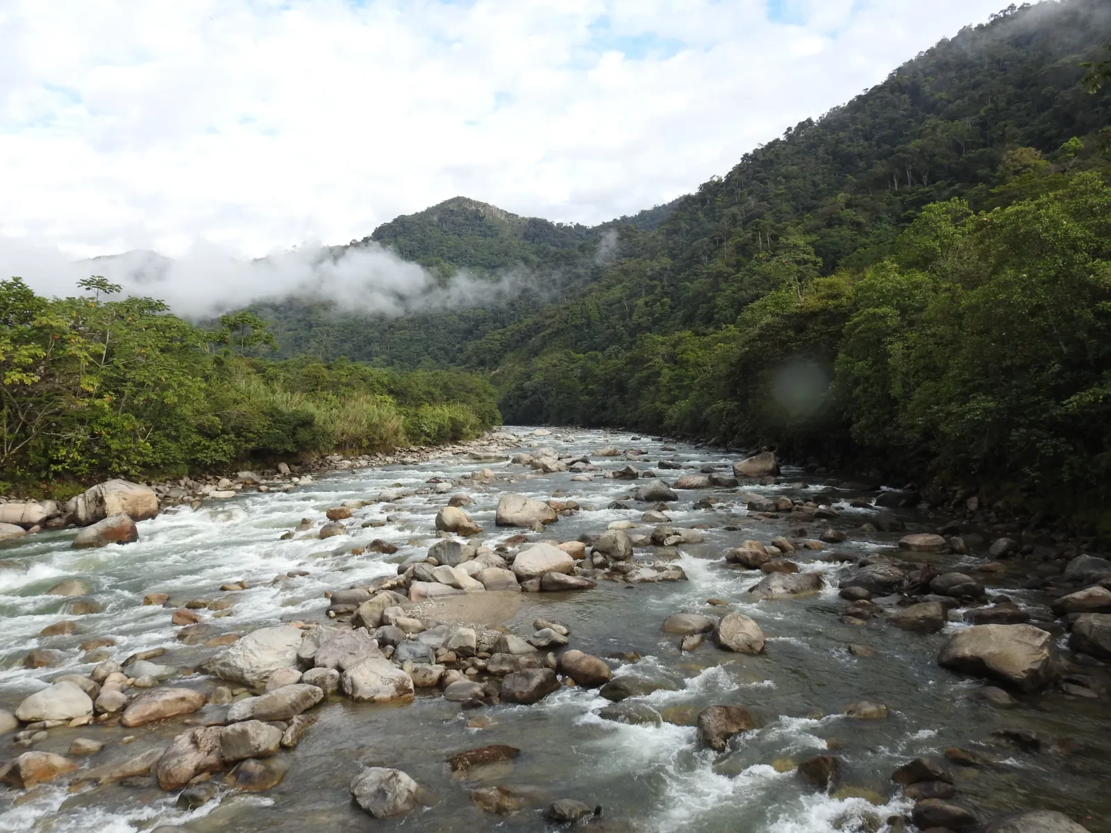 bosque-basimontano-de-yunga-01