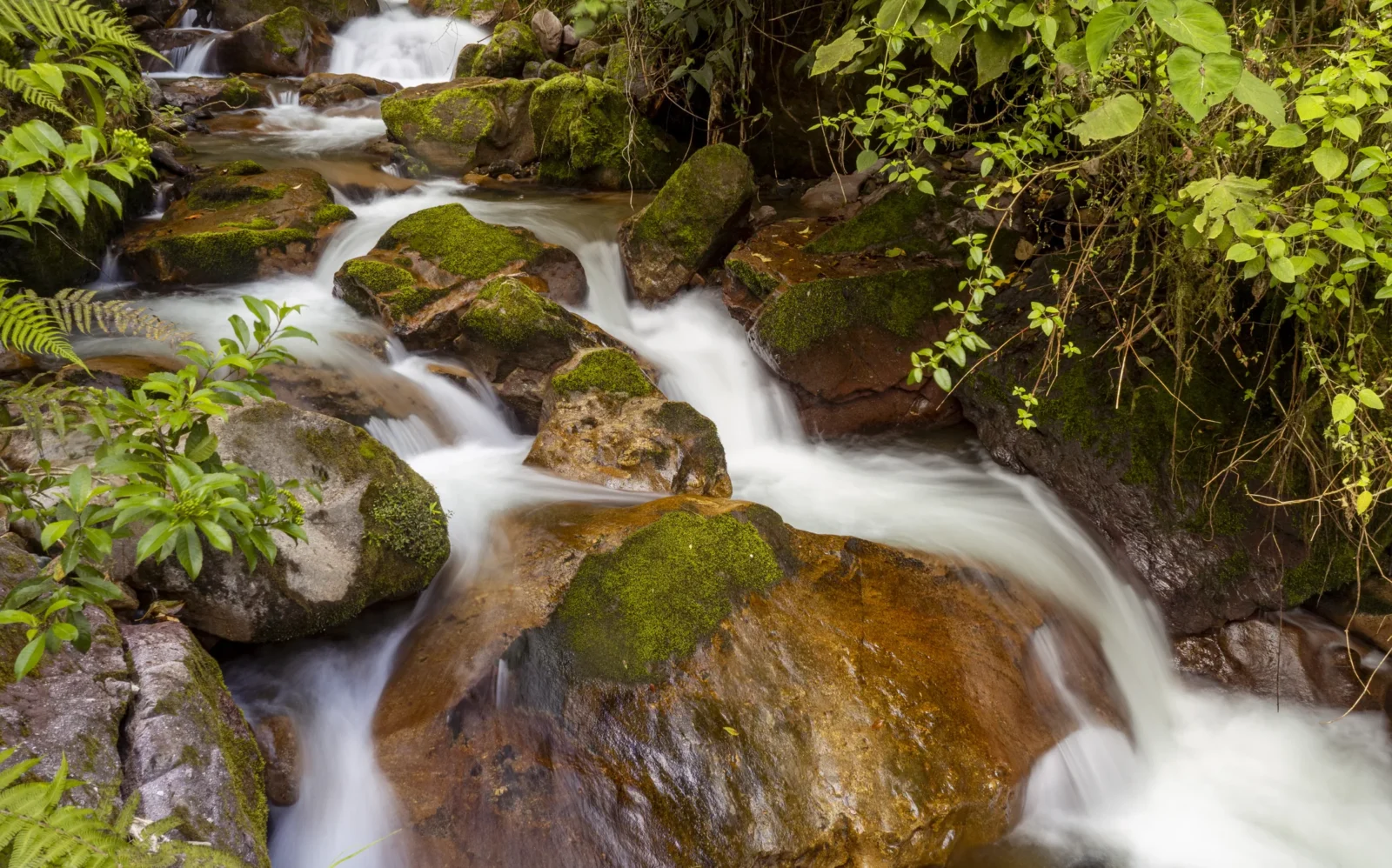 naciente-agua-pacr-yanajanca