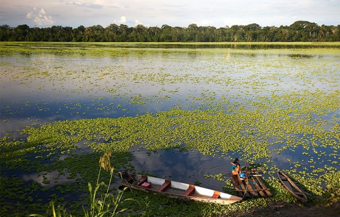 ¿Las donaciones con fines ambientales son deducibles en el 