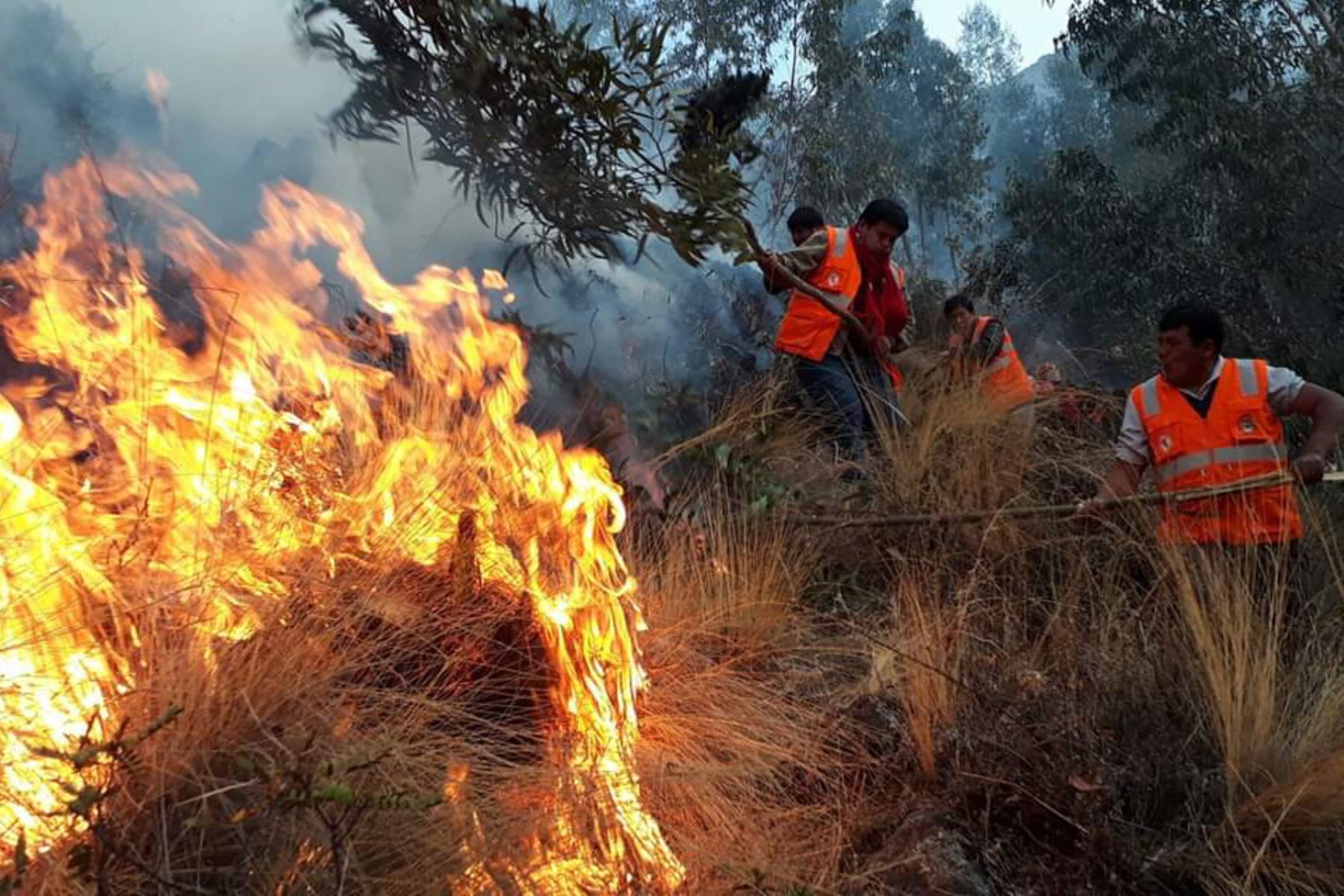 ¿Cuáles Han Sido Los Avances En El último Año Para Reducir Los ...