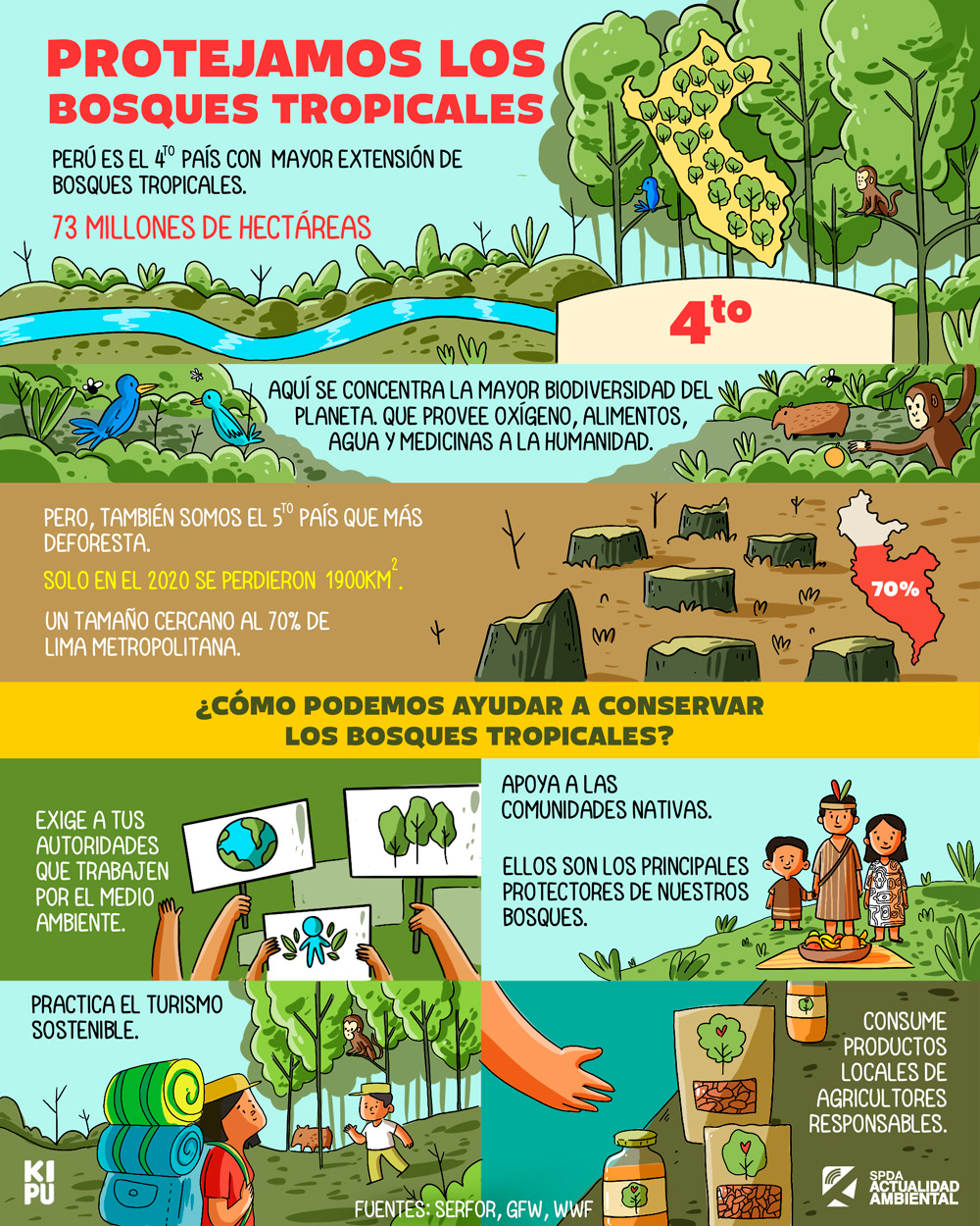 [Infografía] Día De Los Bosques Tropicales: ¿cómo Podemos Ayudar A ...