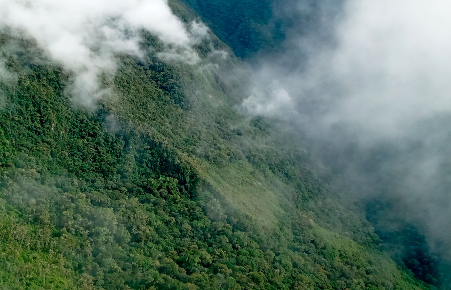 Primera área De Conservación Regional De Huancavelica Protegerá La ...